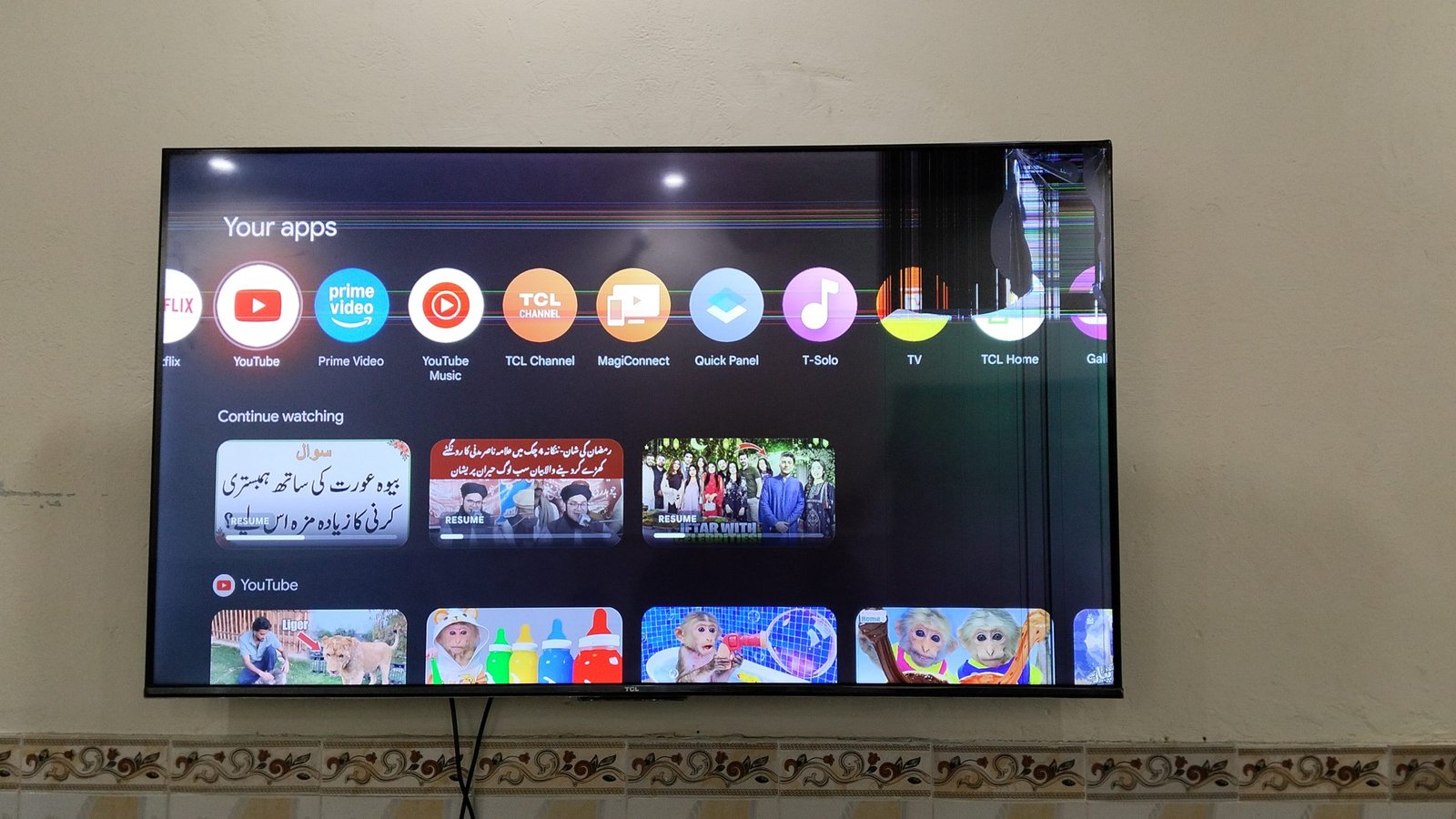 TCL 55 inch Panel Brake