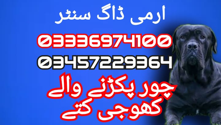 Army dog center 03336974100