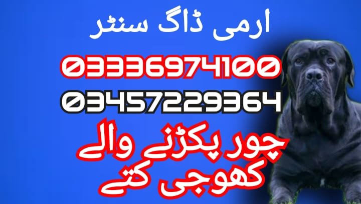 Army dog center 03336974100