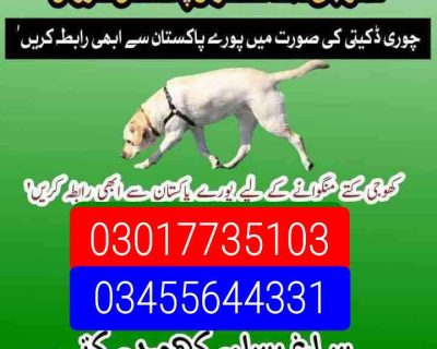 IMG-20251112-WA0000-3