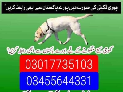 IMG-20251112-WA0000-5