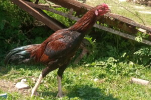 IMG_20260317_124014_022