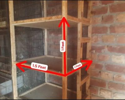 Screenshot_20260227-133051_OLX-Pakistan