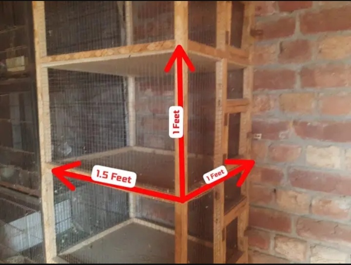 Wooden Cage For Birds