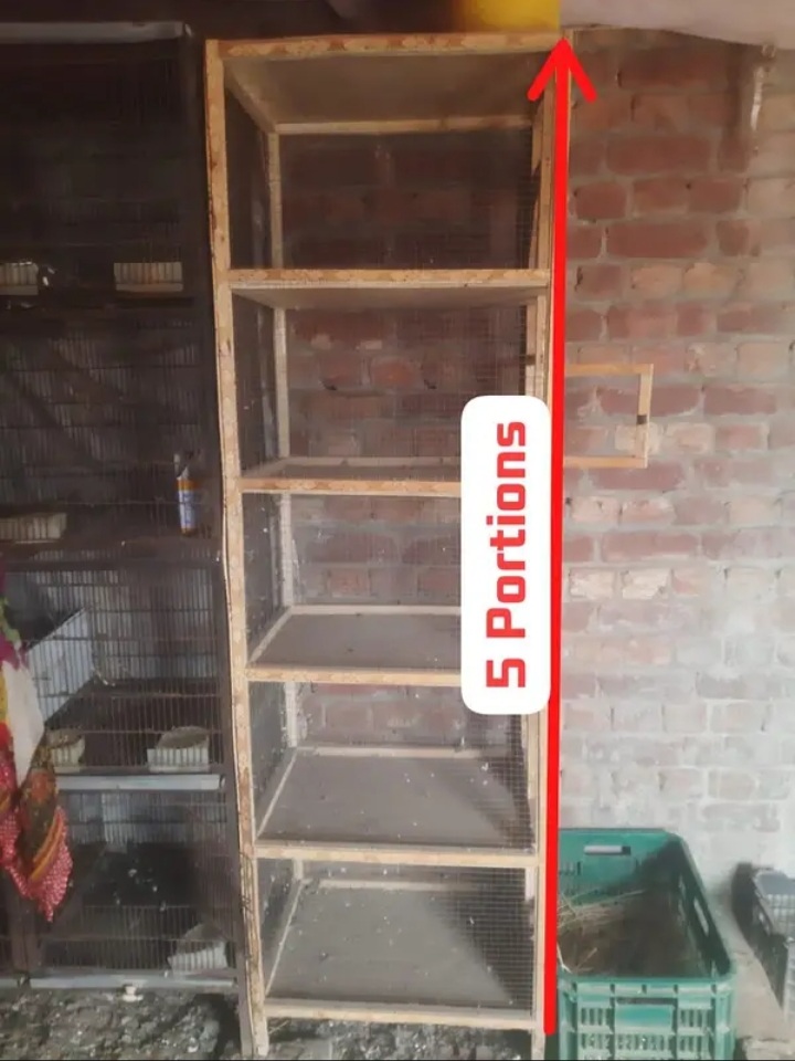 Wooden Cage For Birds