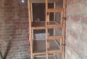 Wooden Cage For Birds