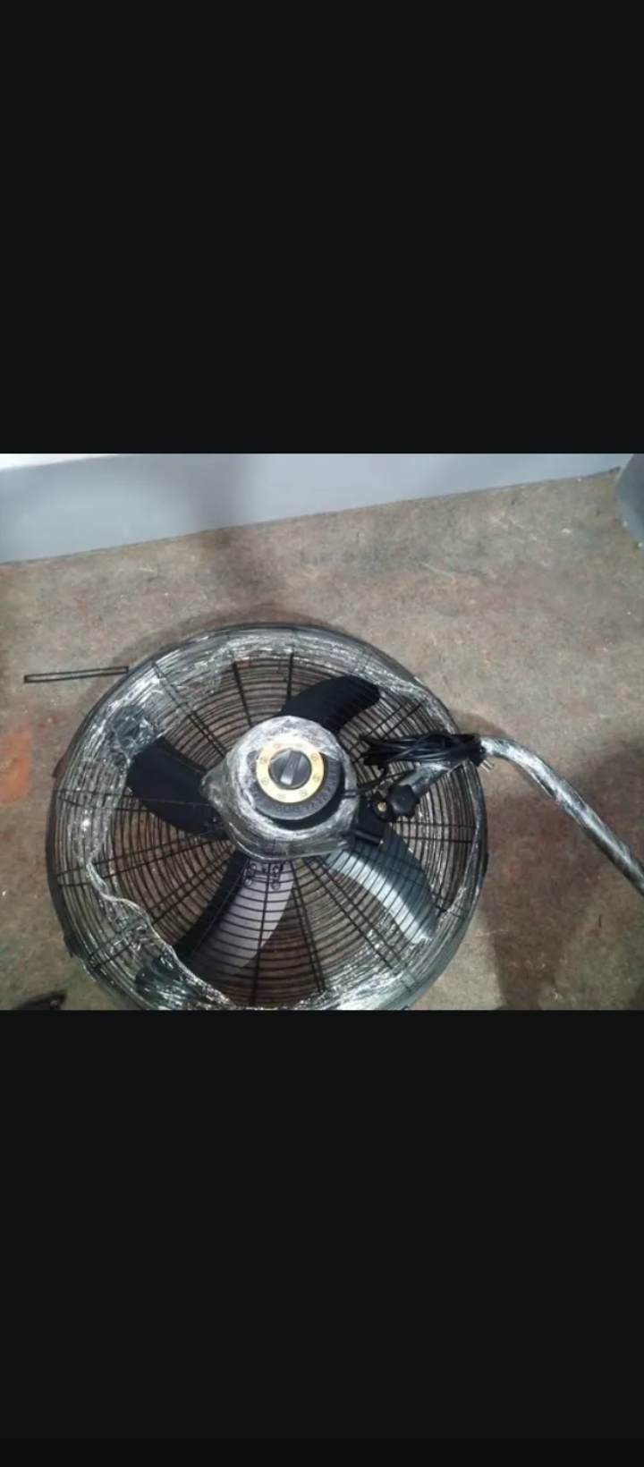 Fan