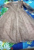 Net embroidered frock