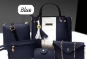 5 Peice Leather Handbag