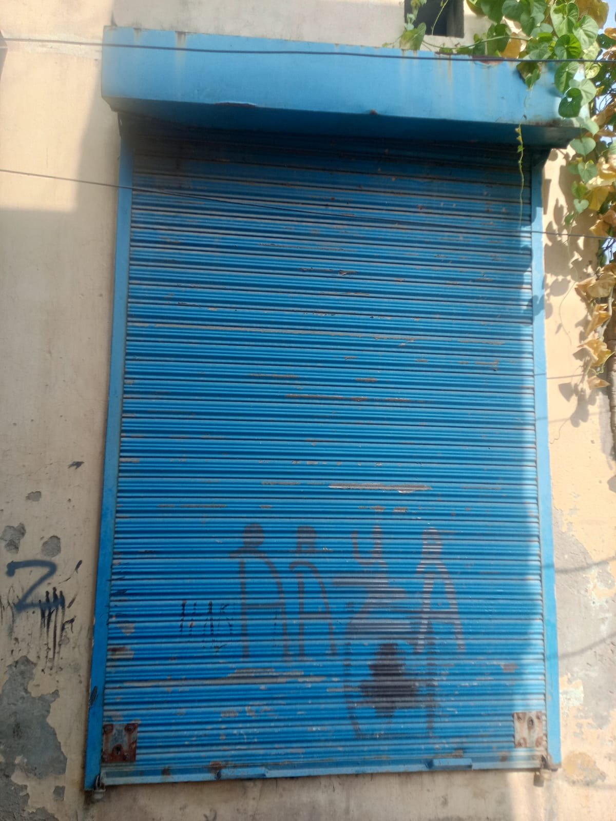2 shutter for sale