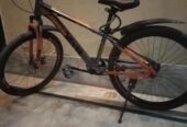 Champion company imported cycle