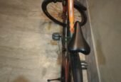 Champion company imported cycle