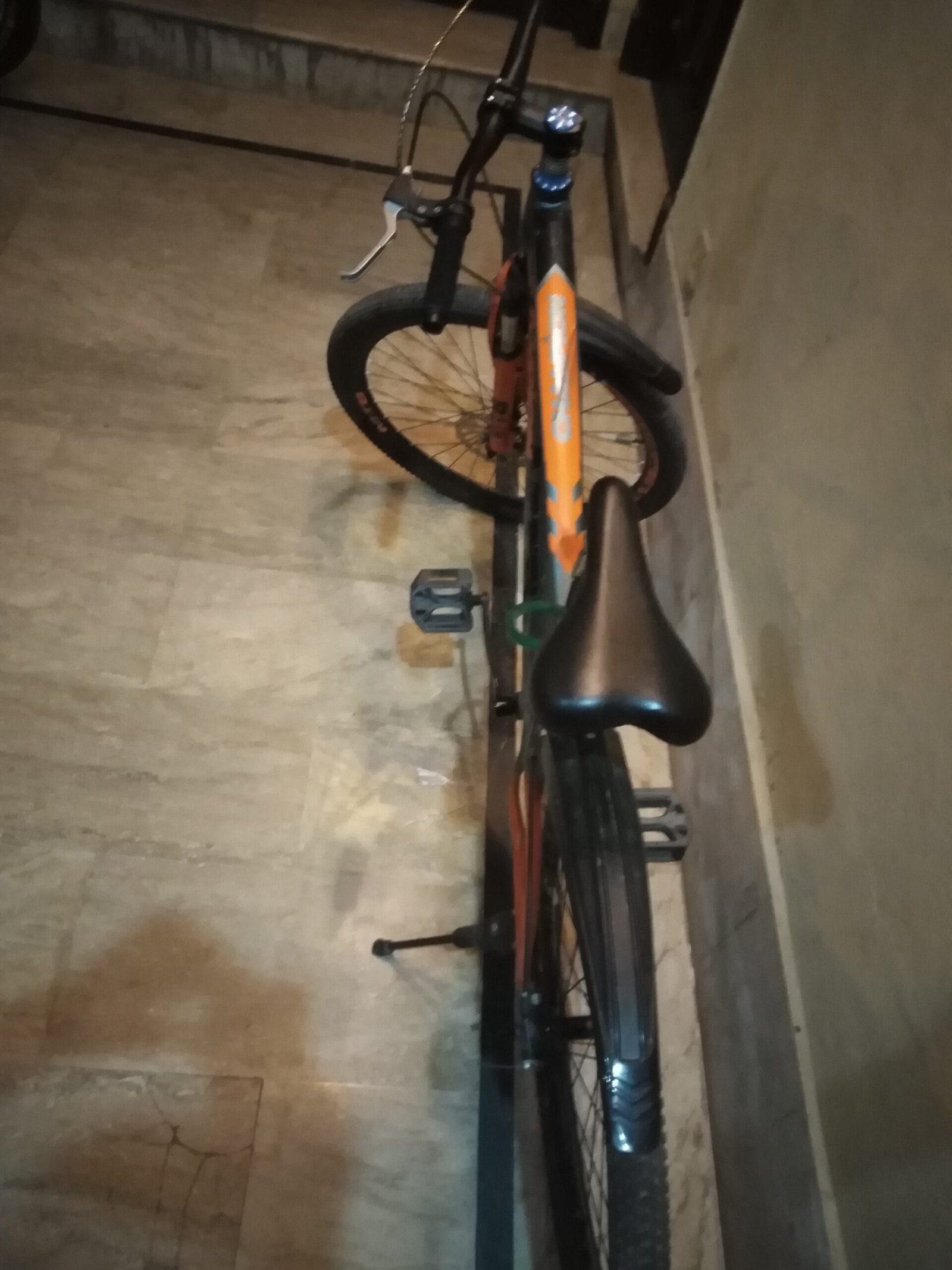 Champion company imported cycle