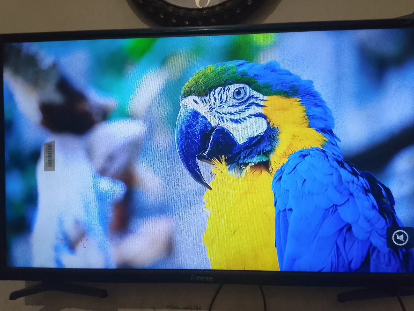 i-zone 32 inch smart led good condition