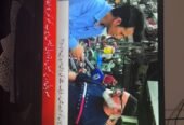 TCL 32-Inch LED TV for Sale