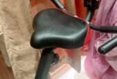 Exercise Bike 2 in 1 fordable