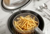 Seeco deep fryer
