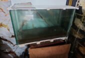 Aquarium for fish
