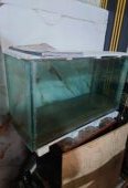 Aquarium for fish
