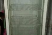 Esquire Refrigerator – Like New