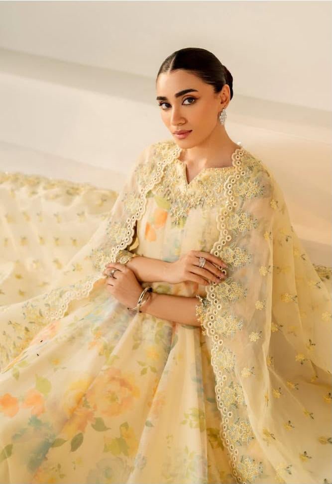 Embroidery dress
