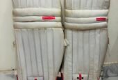 Cricket pads Only 2 month used