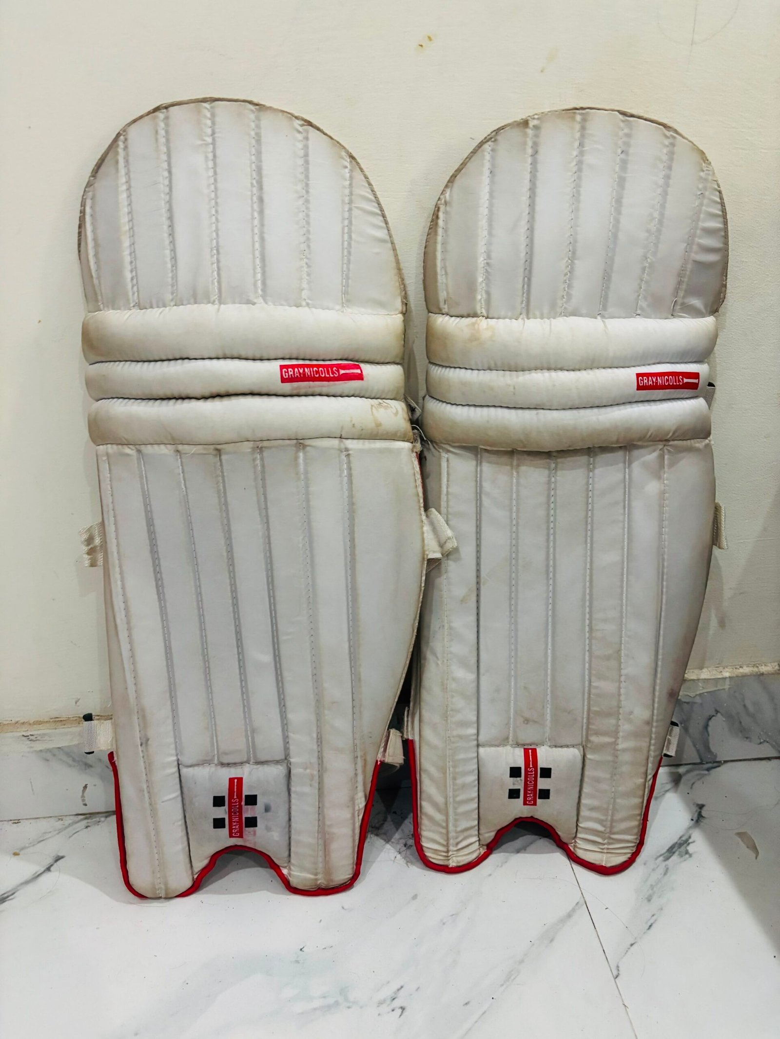 Cricket pads Only 2 month used