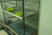 Iron cage for birds