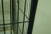 Iron cage for birds