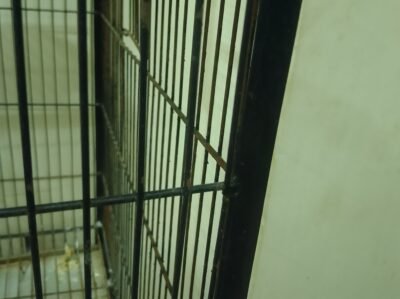 IMG_20260720_193011_356