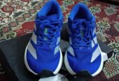 Armani emporio EA7 . Adidas adizero EVO