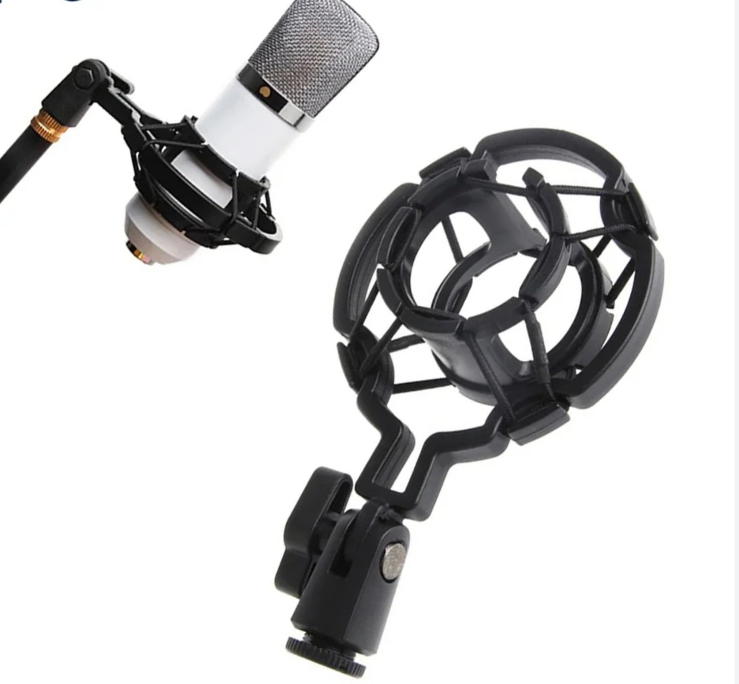 Microphone mount