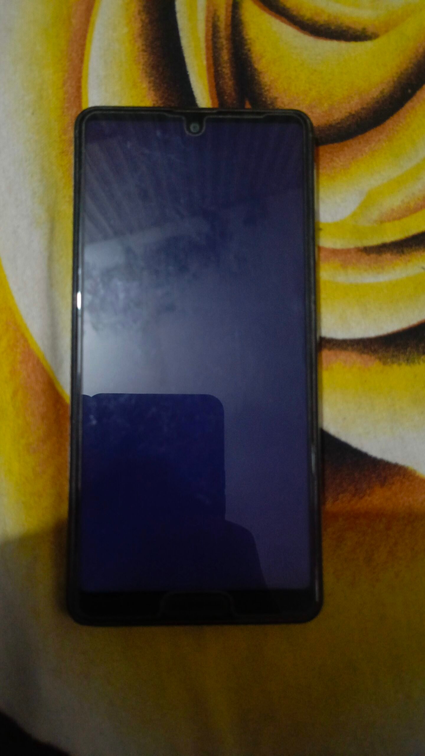 AQUOS SENSE 5G