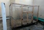 Hen Cage | Excellent Condition