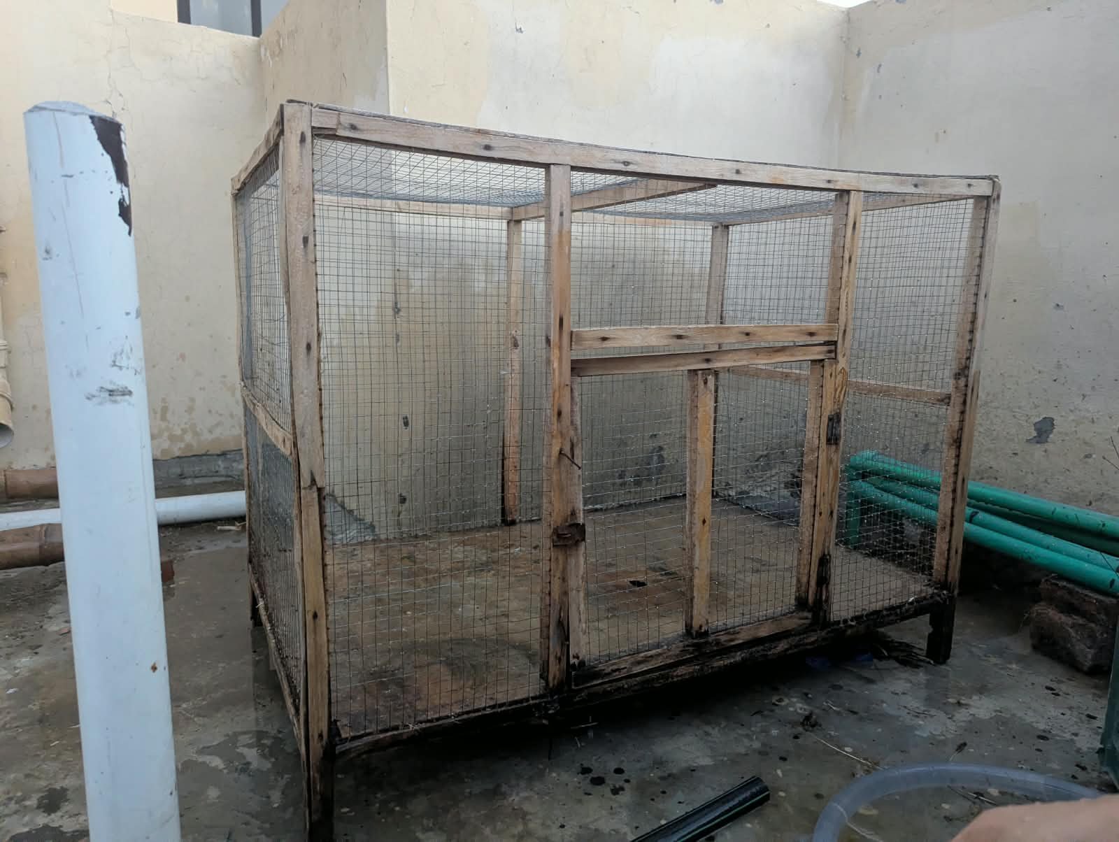 Hen Cage | Excellent Condition