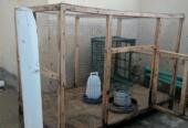 Hen Cage | Excellent Condition