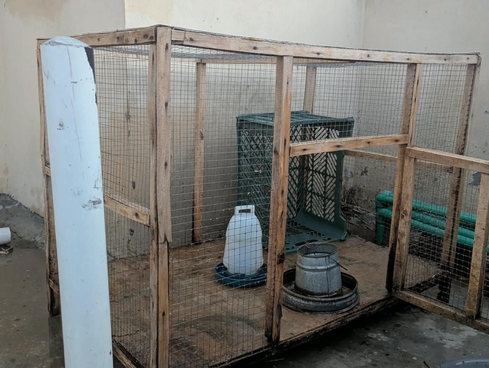 Hen Cage | Excellent Condition