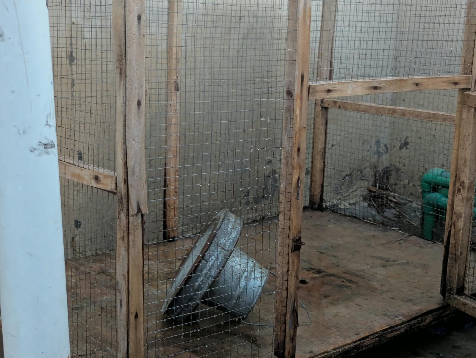 Hen Cage | Excellent Condition