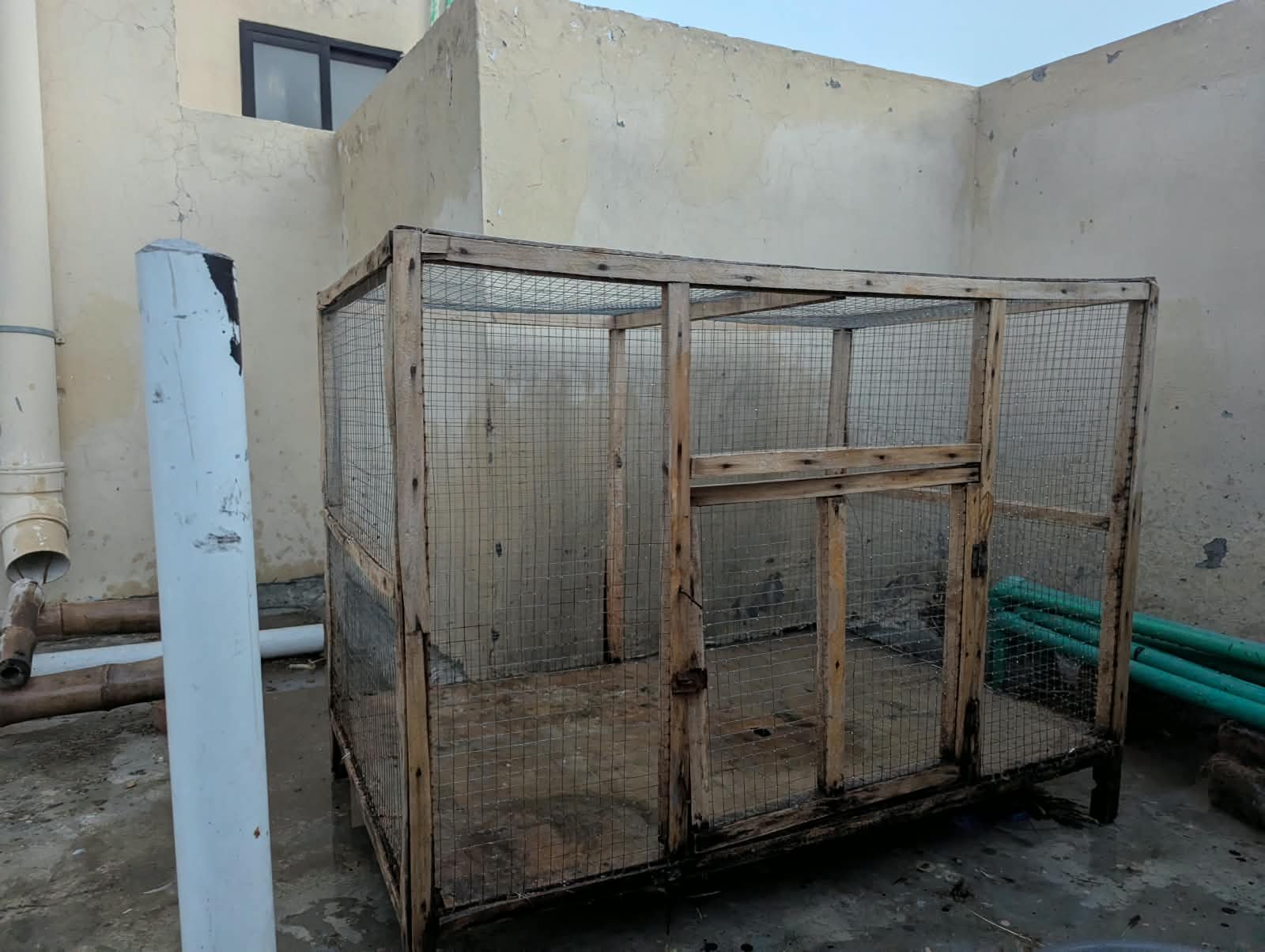 Hen Cage | Excellent Condition