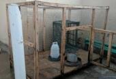 Hen Cage | Excellent Condition