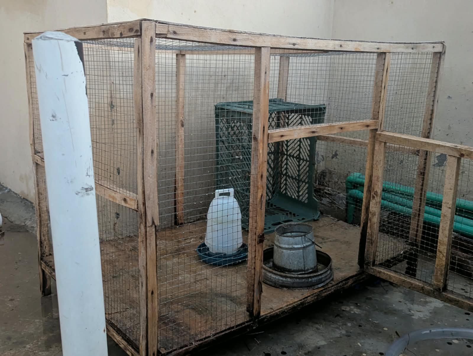 Hen Cage | Excellent Condition