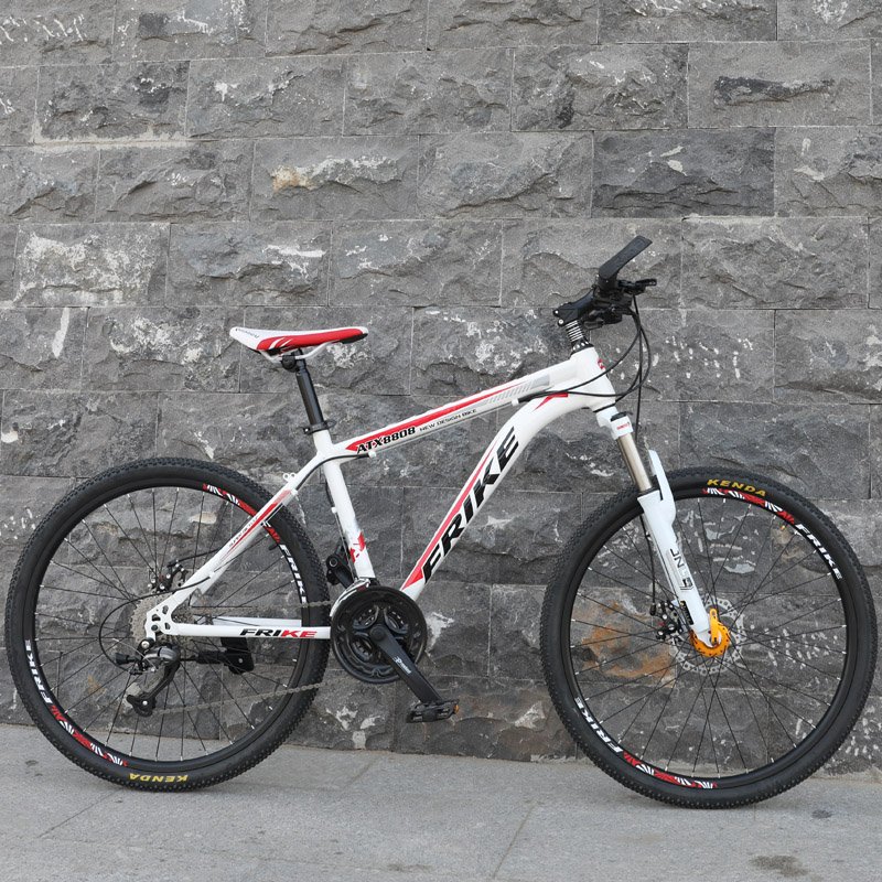 Frike Mountain Bike