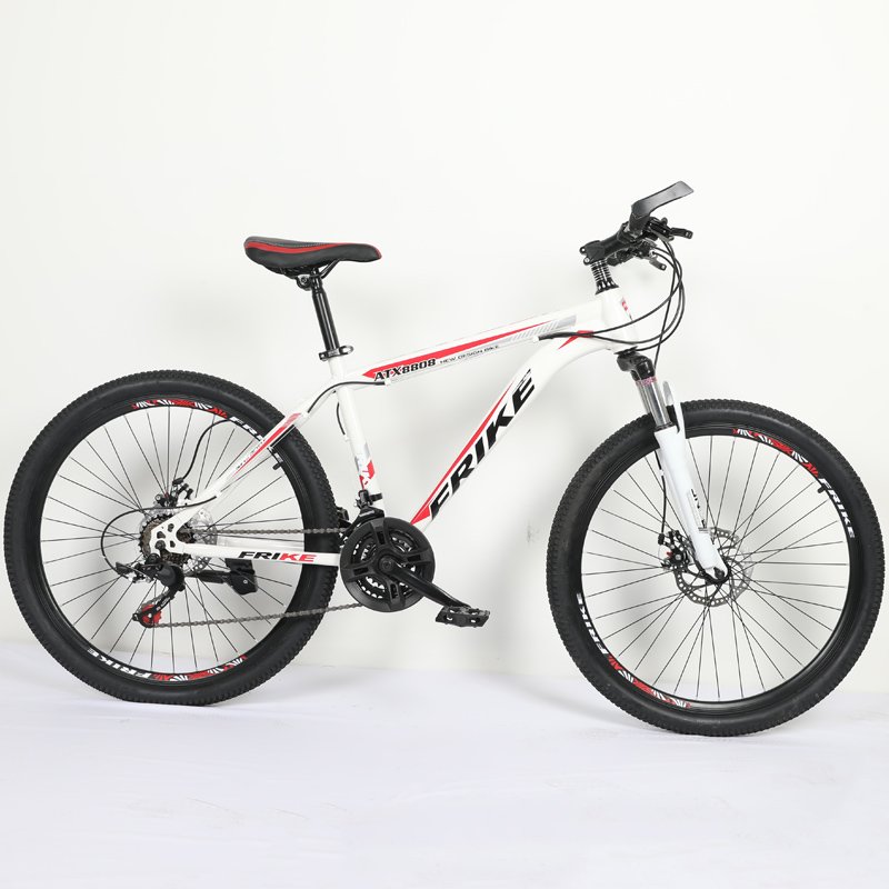 Frike Mountain Bike
