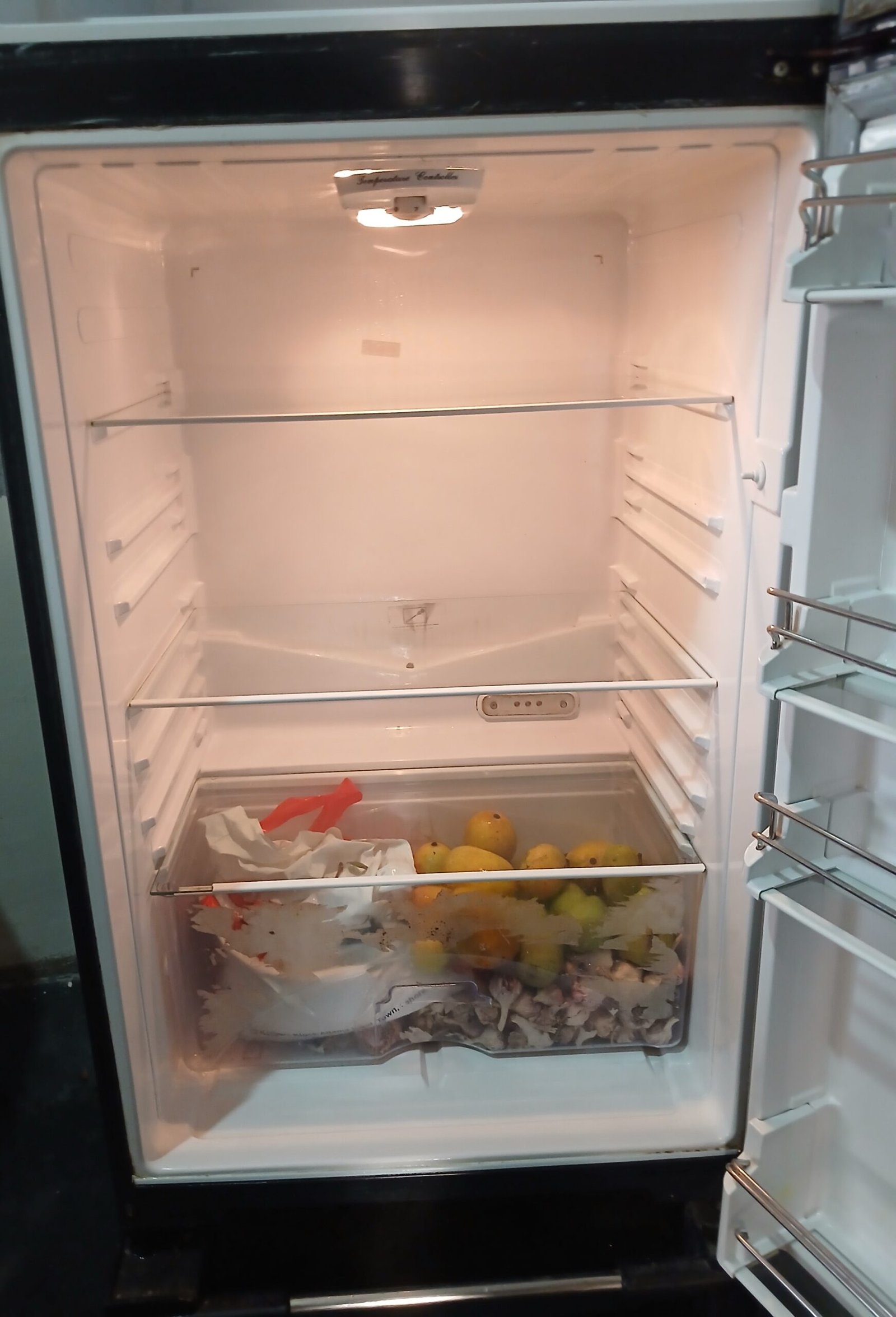 Downlance refrigerator