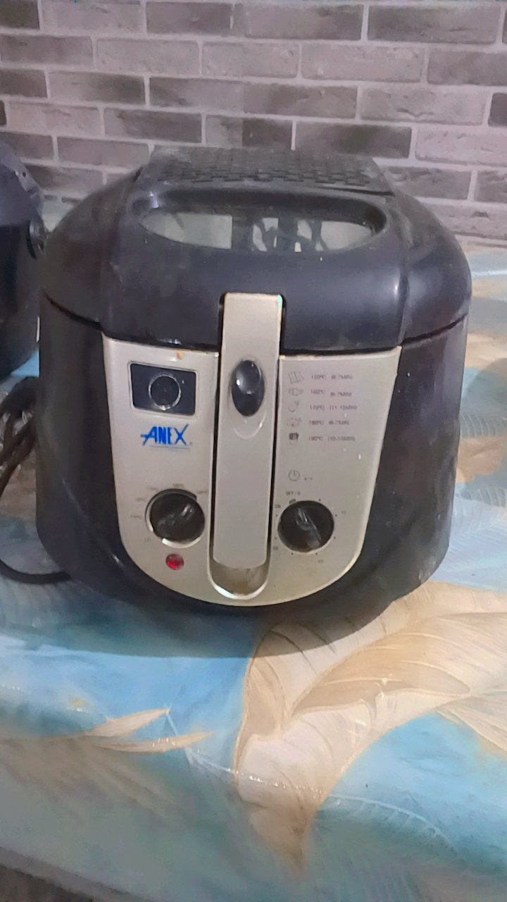 Deep fryer with hot lunch box