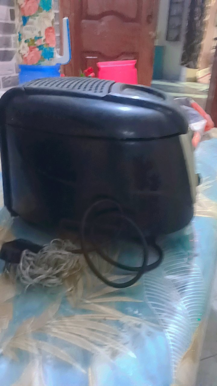Deep fryer with hot lunch box