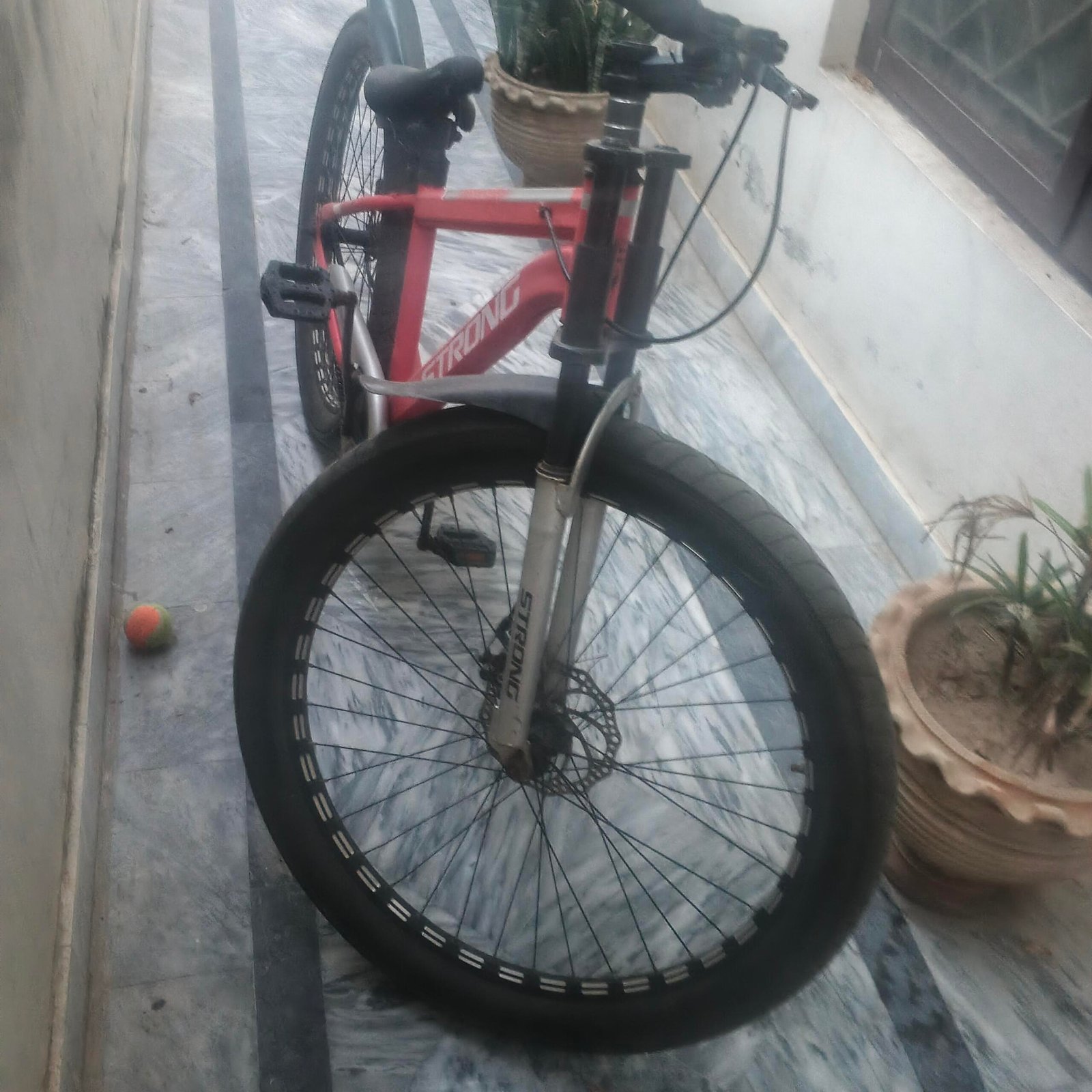 Wide Tyre cycle for adults and kids
