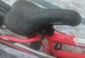 Wide Tyre cycle for adults and kids