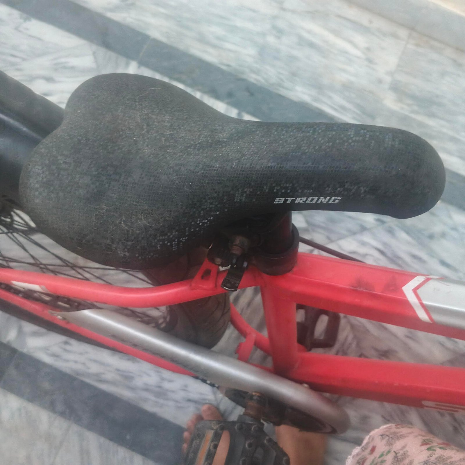 Wide Tyre cycle for adults and kids