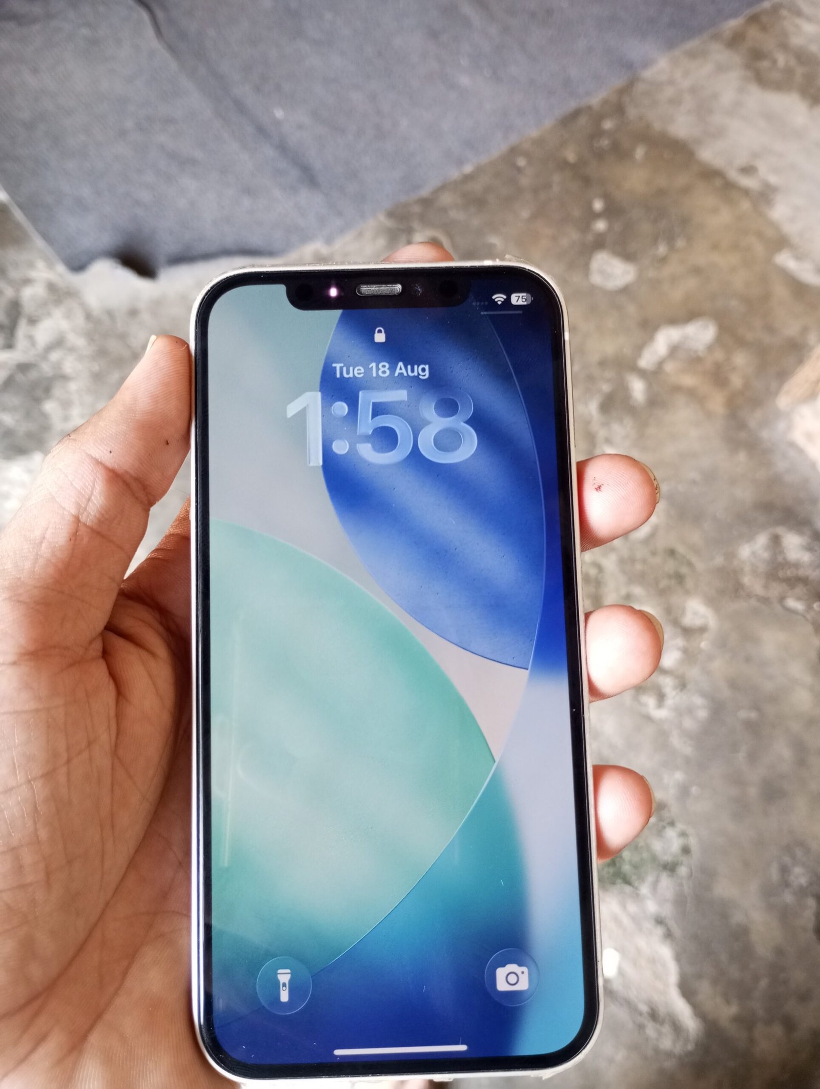 Iphone 12 Factory Unlock